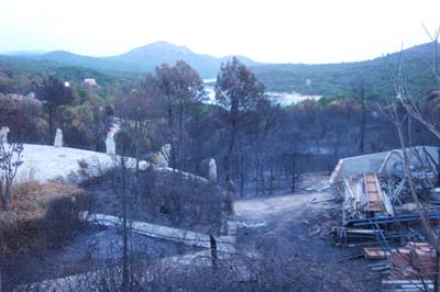 cebrerros03_fuego16