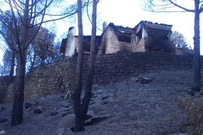 cebrerros03_fuego20