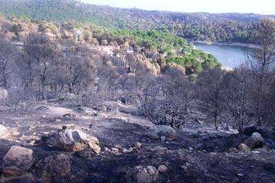 cebrerros03_fuego26