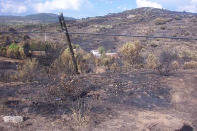 cebrerros03_fuego28