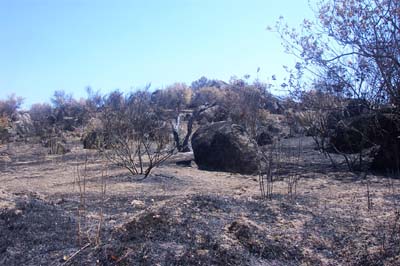 cebrerros03_fuego7