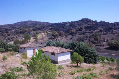 cebrerros03_fuego8