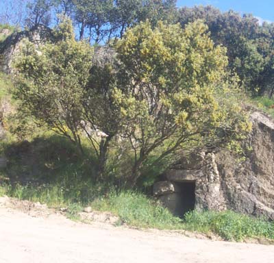 caseta2