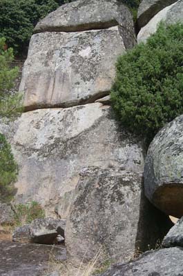 castrejo _013
