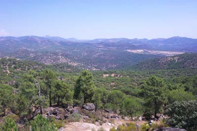 panoramica_serores