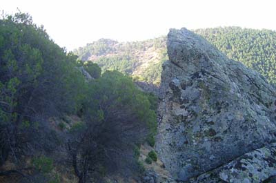pico_aguiila_26