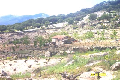 robledillo5