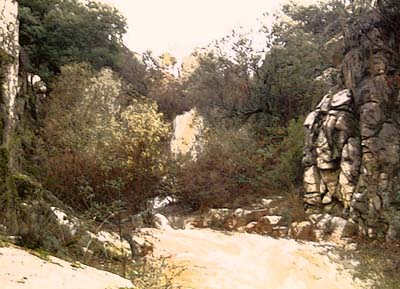 Copia de vijilantes de la catarata